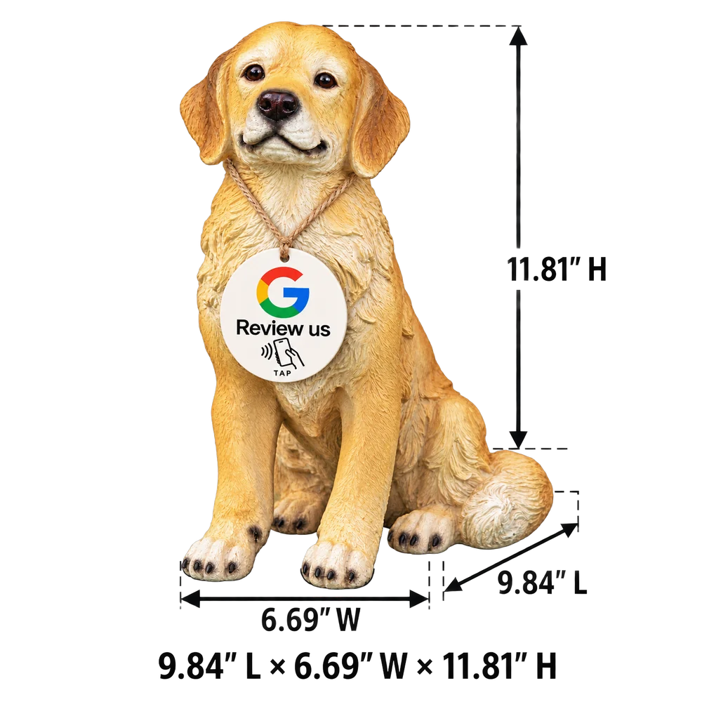 Sitting golden retriever size